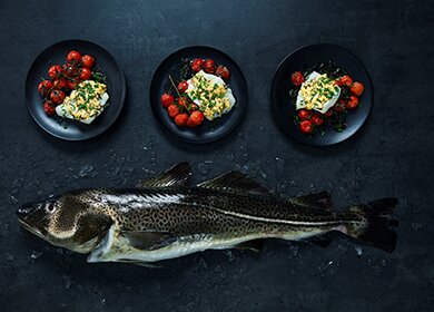 Ugnsbakad torsk med tomatsalsa