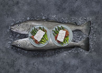 Kokt norsk skrei med rökt skinka
