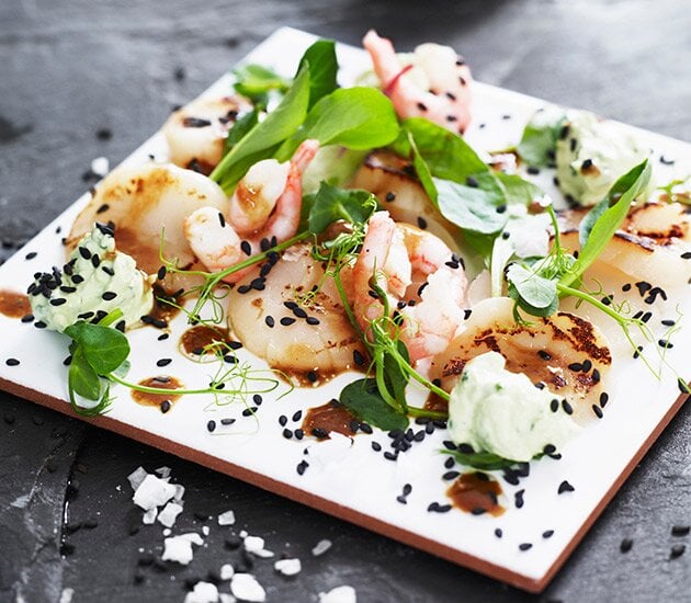 Carpaccio på norska pilgrimsmusslor med sesamdressing och wasabicrème