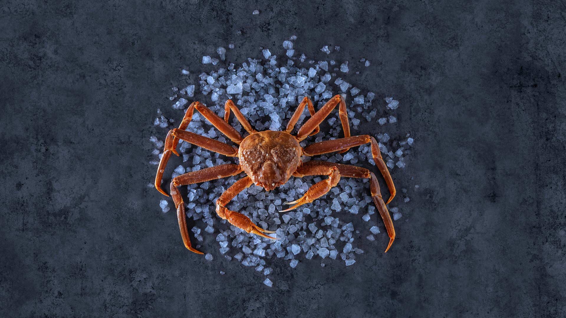 Norsk snökrabba på is